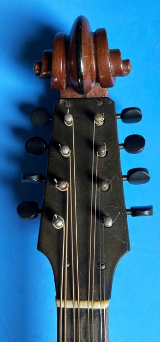 1925 Washburn Style 5300 Mandola